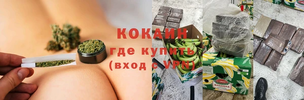 ГАЛЛЮЦИНОГЕННЫЕ ГРИБЫ Белокуриха
