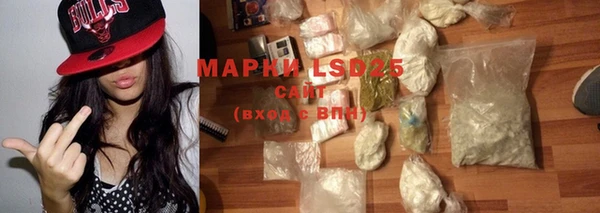 ГАЛЛЮЦИНОГЕННЫЕ ГРИБЫ Белокуриха