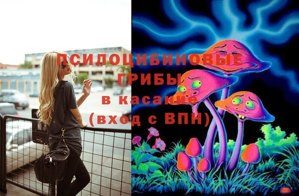 ГАЛЛЮЦИНОГЕННЫЕ ГРИБЫ Белокуриха