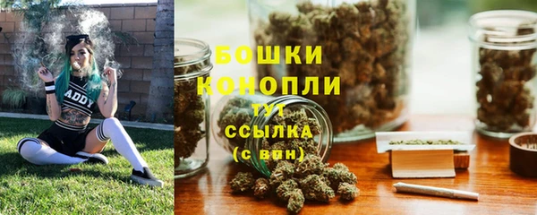 ГАЛЛЮЦИНОГЕННЫЕ ГРИБЫ Белокуриха