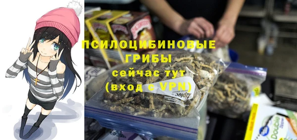 стаф Беломорск