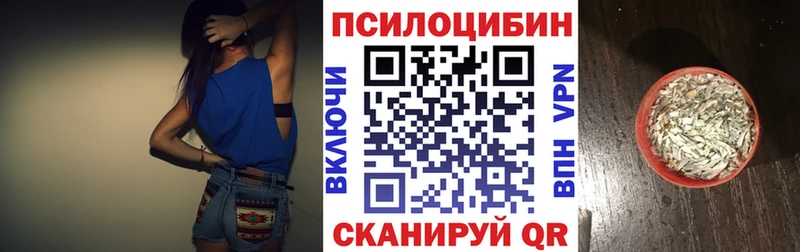 купить закладку  дарк нет Telegram  мега tor  Галлюциногенные грибы Psilocybe  Горно-Алтайск 